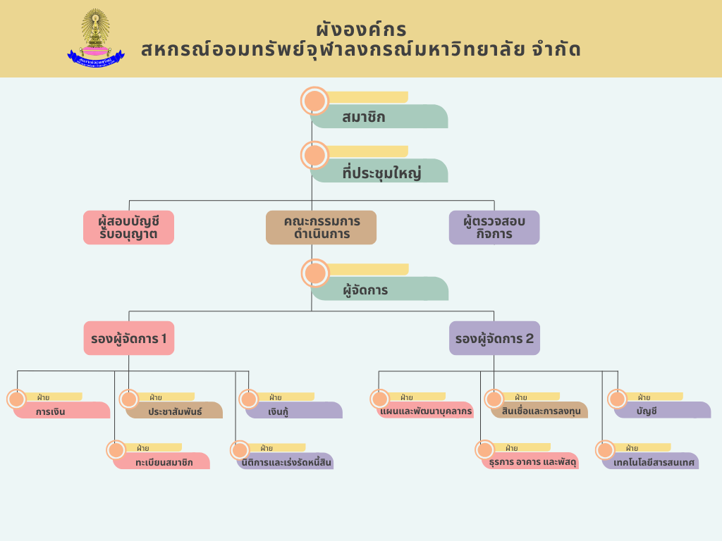 organizationalstructuregrap